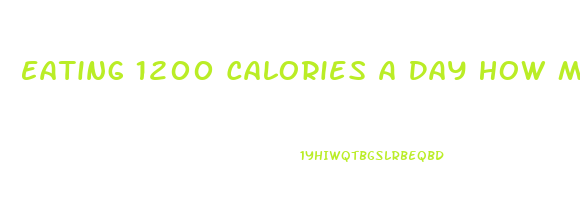 Eating 1200 Calories A Day How Much Weight Will I Lose