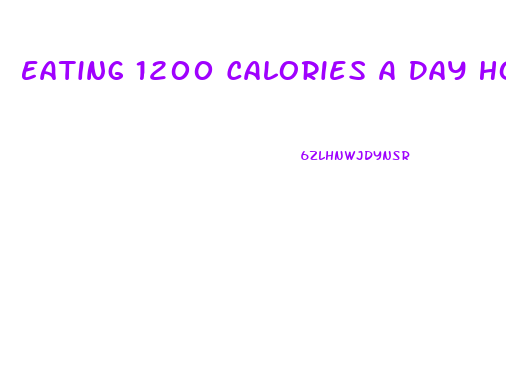 Eating 1200 Calories A Day How Much Weight Will I Lose
