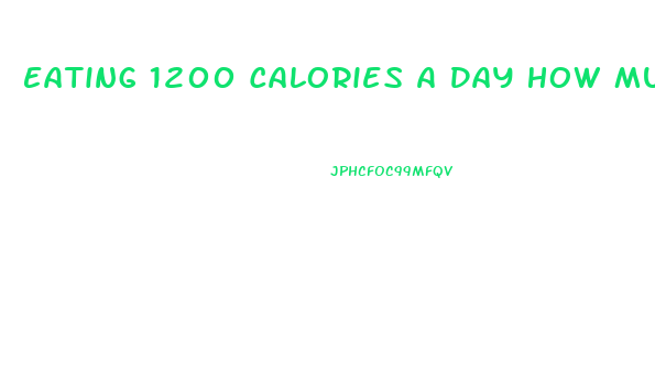 Eating 1200 Calories A Day How Much Weight Will I Lose