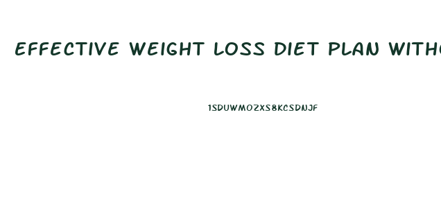 Effective Weight Loss Diet Plan Without Exercise