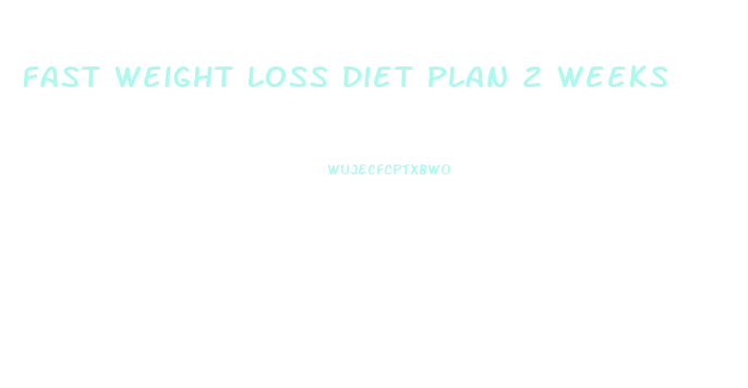 Fast Weight Loss Diet Plan 2 Weeks