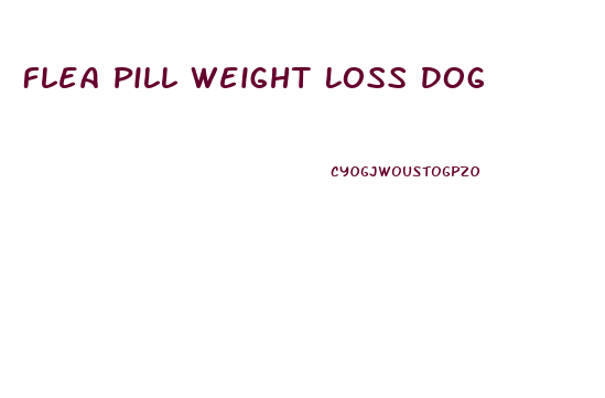 Flea Pill Weight Loss Dog