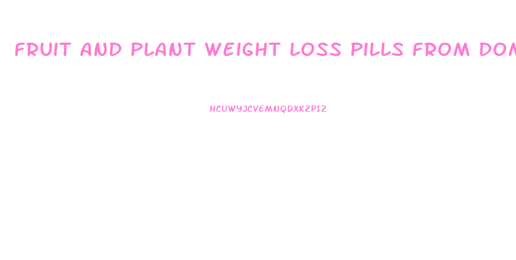 Fruit And Plant Weight Loss Pills From Dominican Republic