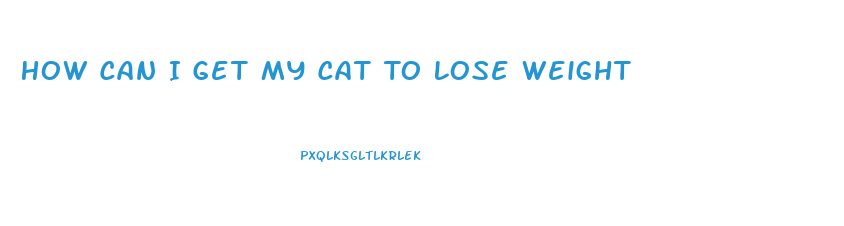How Can I Get My Cat To Lose Weight