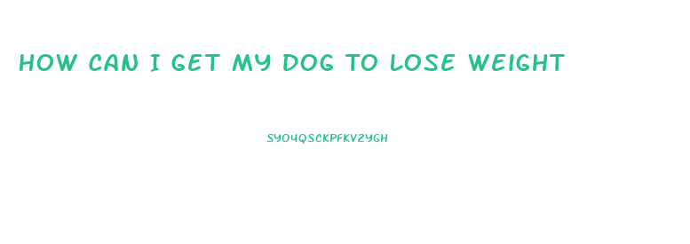How Can I Get My Dog To Lose Weight