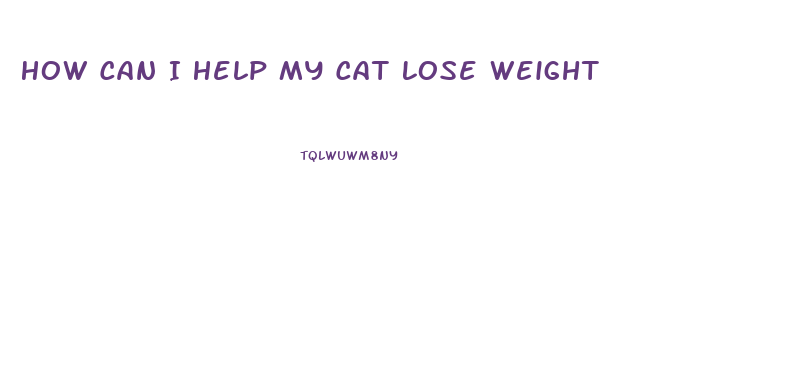 How Can I Help My Cat Lose Weight