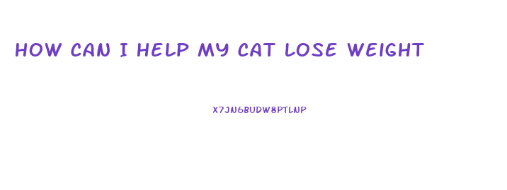 How Can I Help My Cat Lose Weight