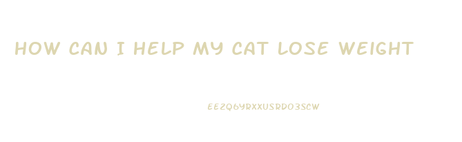 How Can I Help My Cat Lose Weight