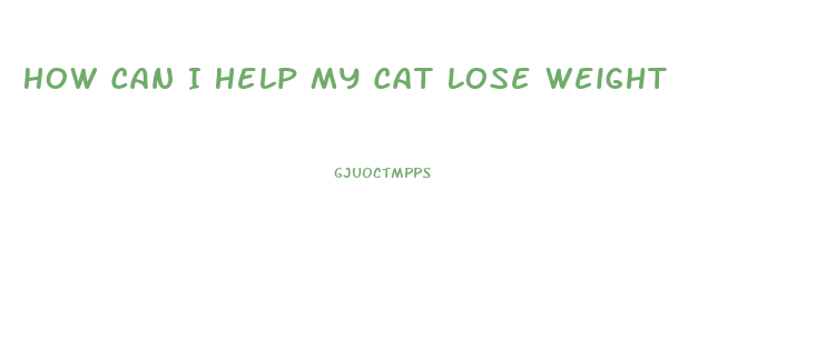 How Can I Help My Cat Lose Weight