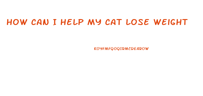 How Can I Help My Cat Lose Weight