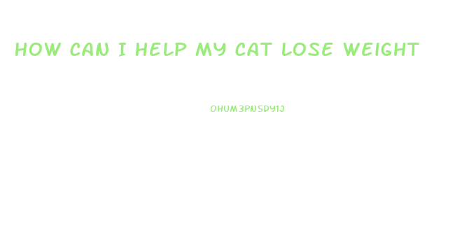 How Can I Help My Cat Lose Weight