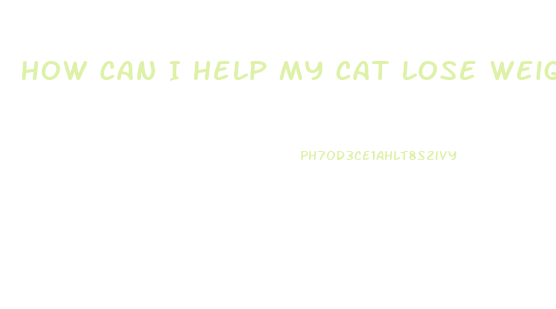 How Can I Help My Cat Lose Weight