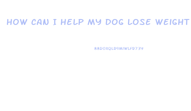 How Can I Help My Dog Lose Weight