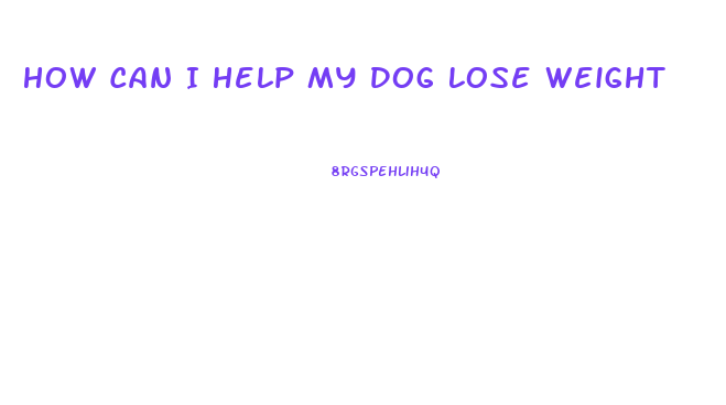 How Can I Help My Dog Lose Weight