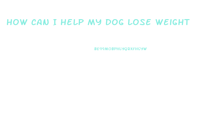 How Can I Help My Dog Lose Weight