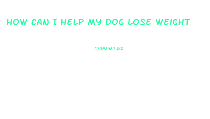 How Can I Help My Dog Lose Weight