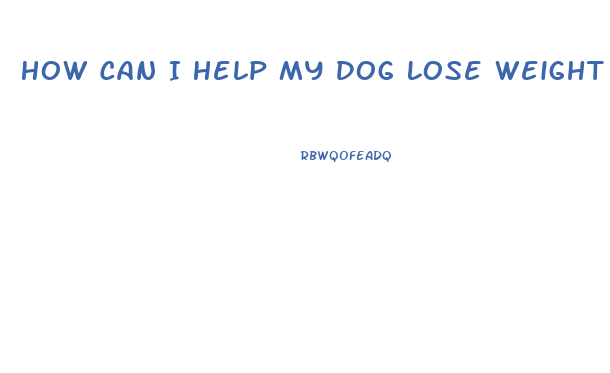 How Can I Help My Dog Lose Weight