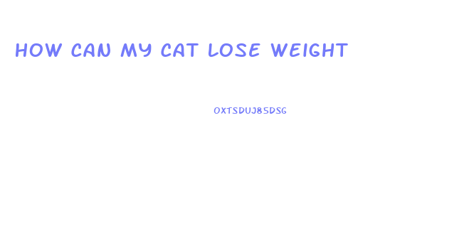 How Can My Cat Lose Weight