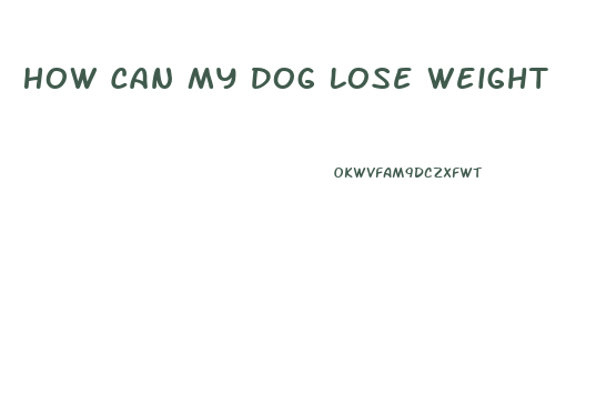 How Can My Dog Lose Weight