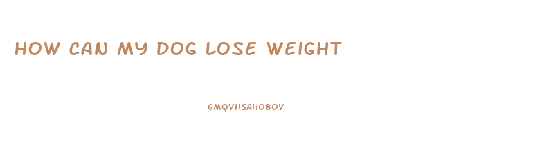 How Can My Dog Lose Weight