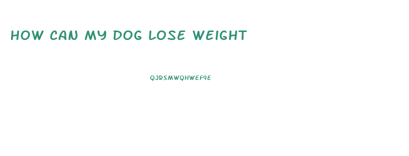 How Can My Dog Lose Weight