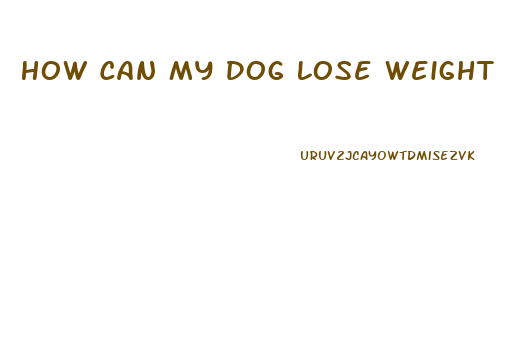 How Can My Dog Lose Weight