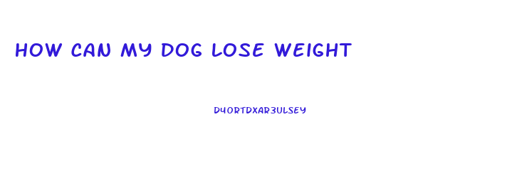 How Can My Dog Lose Weight
