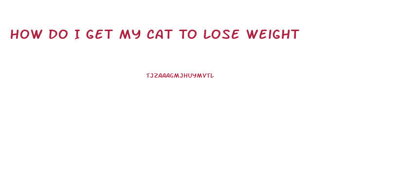 How Do I Get My Cat To Lose Weight