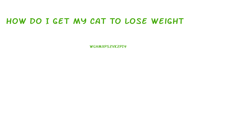 How Do I Get My Cat To Lose Weight