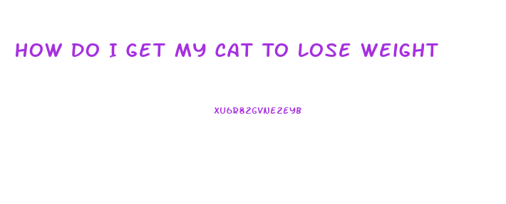 How Do I Get My Cat To Lose Weight