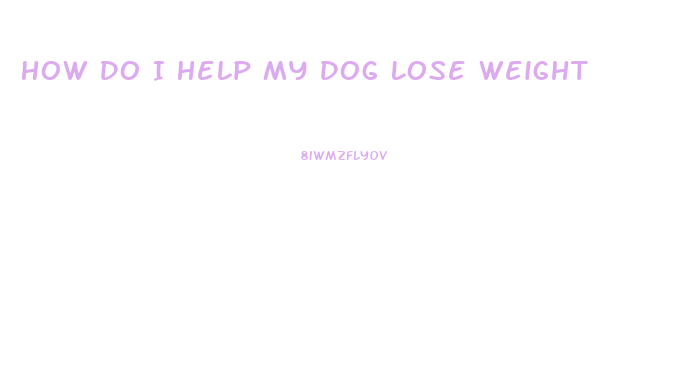 How Do I Help My Dog Lose Weight