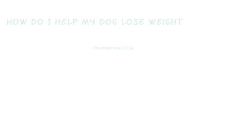 How Do I Help My Dog Lose Weight
