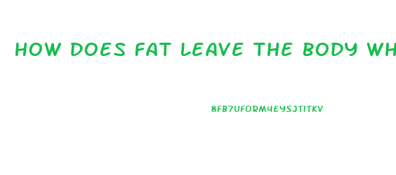 How Does Fat Leave The Body When You Lose Weight