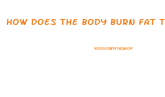 How Does The Body Burn Fat To Lose Weight