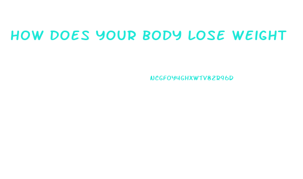 How Does Your Body Lose Weight