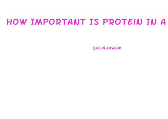 How Important Is Protein In A Diet Weight Loss