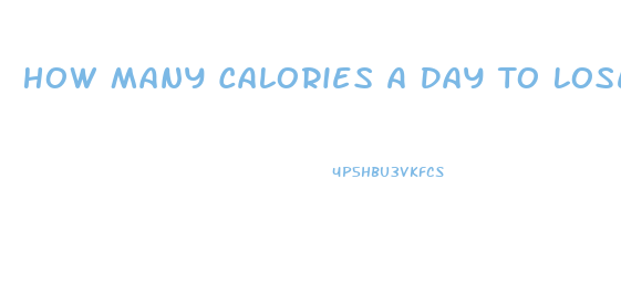 How Many Calories A Day To Lose Weight