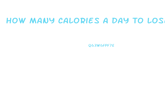 How Many Calories A Day To Lose Weight