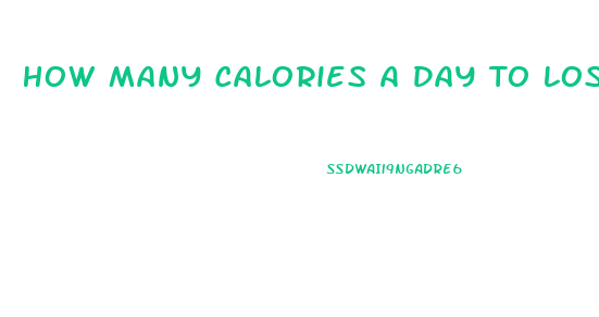 How Many Calories A Day To Lose Weight