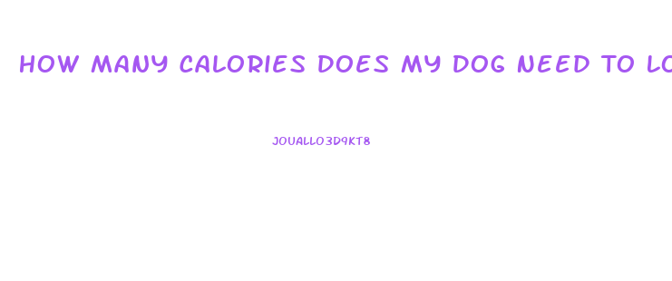 How Many Calories Does My Dog Need To Lose Weight