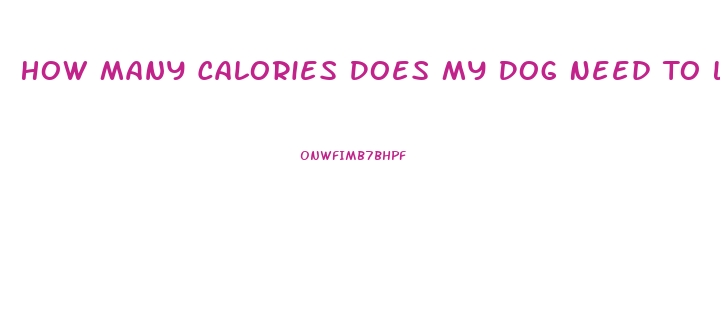 How Many Calories Does My Dog Need To Lose Weight