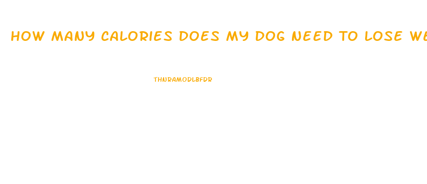 How Many Calories Does My Dog Need To Lose Weight