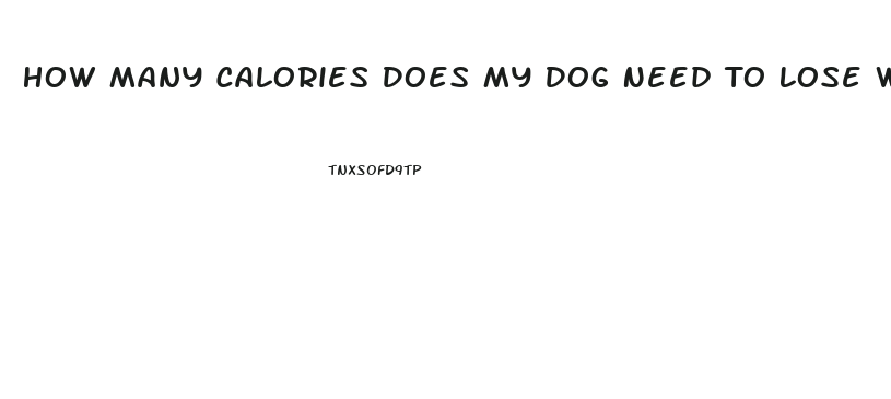 How Many Calories Does My Dog Need To Lose Weight