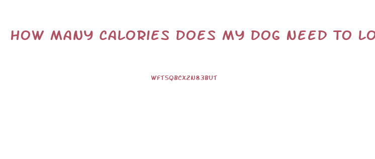 How Many Calories Does My Dog Need To Lose Weight