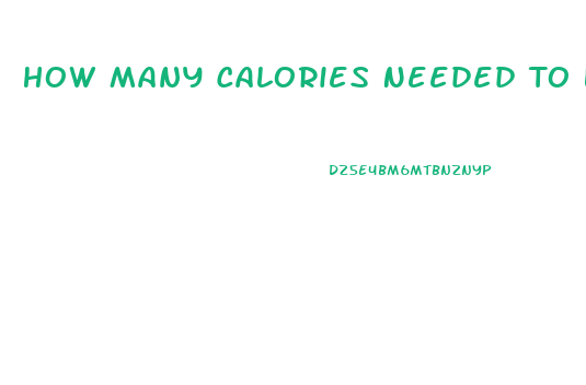 How Many Calories Needed To Lose Weight