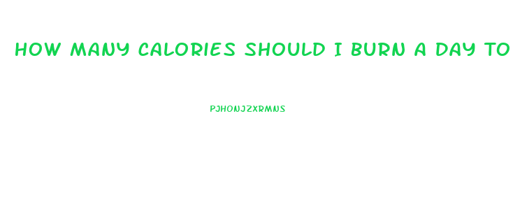 How Many Calories Should I Burn A Day To Lose Weight