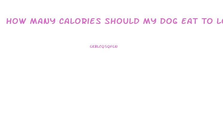 How Many Calories Should My Dog Eat To Lose Weight