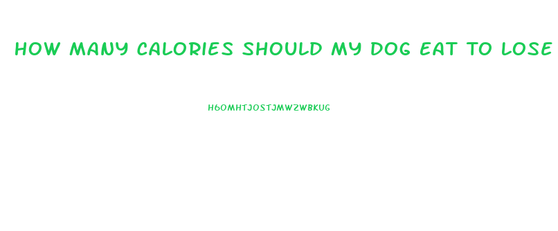 How Many Calories Should My Dog Eat To Lose Weight