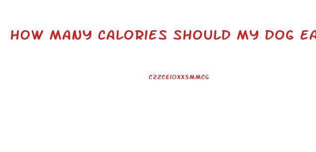 How Many Calories Should My Dog Eat To Lose Weight