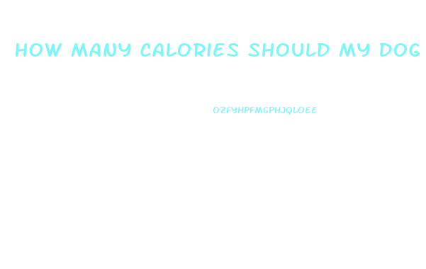 How Many Calories Should My Dog Eat To Lose Weight